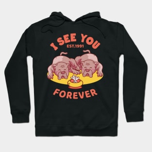 I see you forever Hoodie